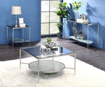 Adelrik Glass/Chrome Metal Coffee Table with Shelf