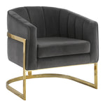 Alicia Dark Grey Velvet/Gold Finish Metal Accent Chair