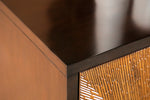 Armina Brown/Antique Gold 2-Door Accent Cabinet