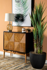 Armina Brown/Antique Gold 2-Door Accent Cabinet