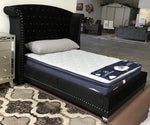 Barzini Black Velvet/Leatherette Queen Bed (Floor Model)