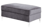 Bovasis Gray Velvet Ottoman