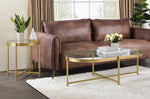 Charrot Clear Glass/Gold Finish Metal Coffee Table