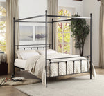 Chelone Black Metal Queen Canopy Bed