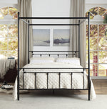 Chelone Black Metal Queen Canopy Bed