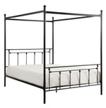 Chelone Black Metal Queen Canopy Bed