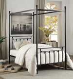 Chelone Black Metal Twin Canopy Bed