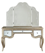 Esteban Mirrored with Floral Accents Vanity Mirror