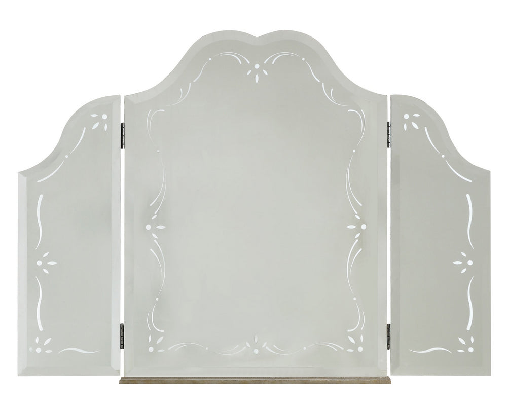 Esteban Mirrored with Floral Accents Vanity Mirror