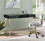 Ottey Black High Gloss Wood/Gold Metal 2-Drawer Office Desk