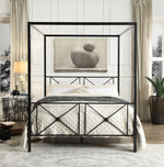 Rapa Black Metal Queen Canopy Bed