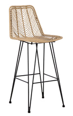 Angentree 2 Natural Resin Fiber/Black Steel Bar Stools