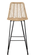 Angentree 2 Natural Resin Fiber/Black Steel Bar Stools