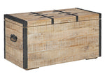 Dartland Whitewash Wood Storage Trunk