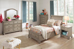 Lettner Light Gray Twin Sleigh Storage Bed