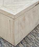 Ryker Distressed White Wood Storage Trunk