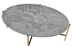 Tainte Faux Marble Print Wood/Champagne Metal Coffee Table