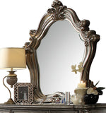 Versailles Antique Platinum Wood/Glass Mirror