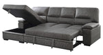 Michigan 2-Pc Dark Gray LAF Sectional with Pull-Out Bed