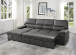 Michigan 2-Pc Dark Gray LAF Sectional with Pull-Out Bed