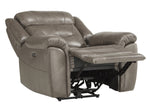 Danio Brownish Gray Leather Power Recliner