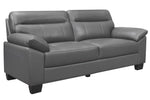 Denizen Modern Dark Gray Leather 2-Seat Sofa