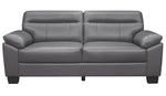 Denizen Modern Dark Gray Leather 2-Seat Sofa