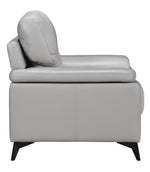 Mischa Silver Gray Top Grain Leather Chair