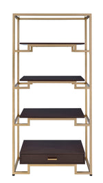 Yumia Gold Finish Metal/Clear Glass Bookshelf with Drawer