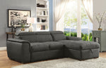 Patty Graphite RAF Sectional with Sleeper