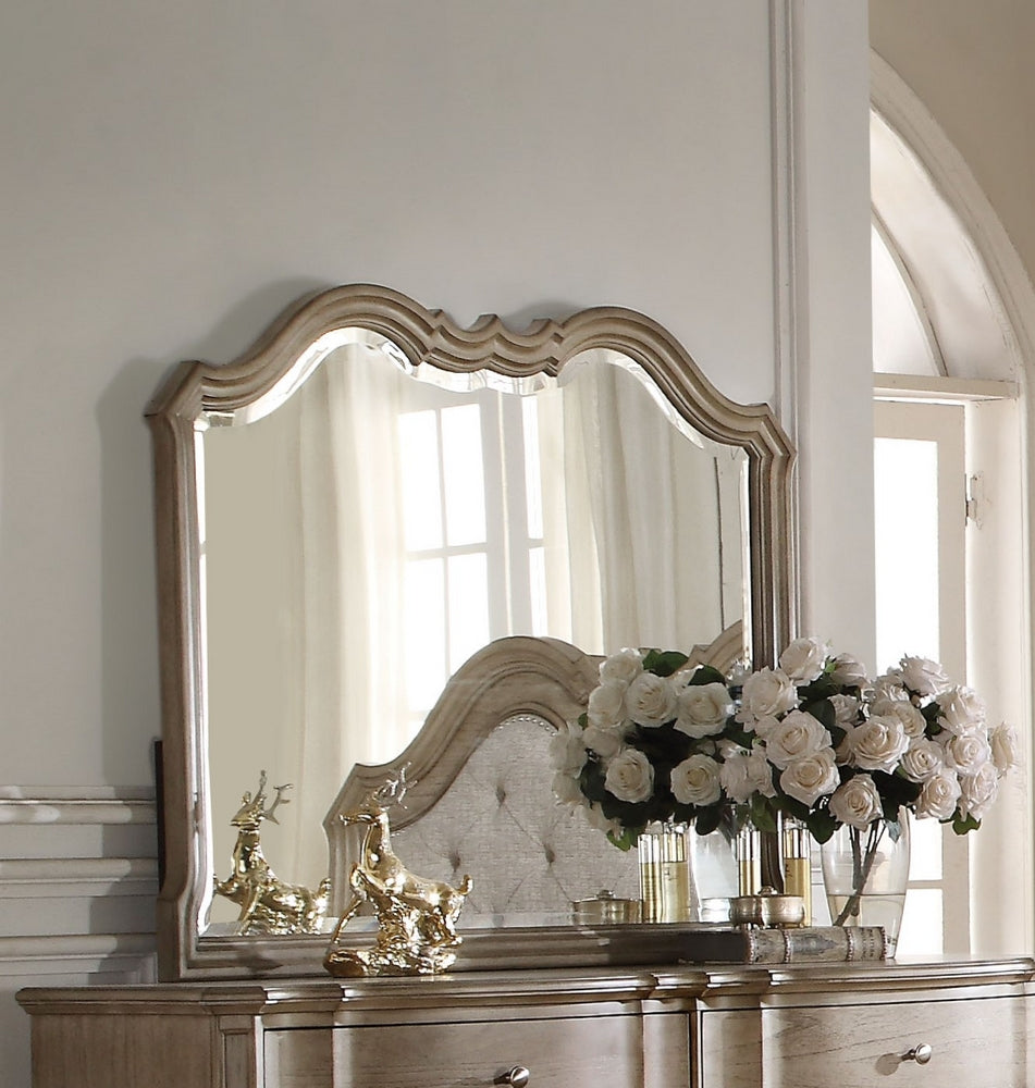 Chelmsford Antique Taupe Wood Frame Mirror