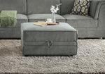 Bois Gray Velvet Ottoman with Storage