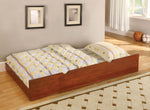 Solpine Oak Twin/Full Bunk Bed (Oversized)