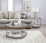 Zekera Champagne Metal Coffee Table with Mirrored Top & Shelf