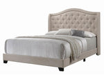 Sonoma Beige Fabric Upholstered Queen Panel Bed