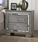 Antares Light Gray Oak Wood 2-Drawer Nightstand with Mirror Trim