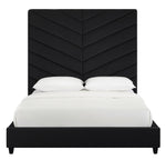 Javan Black Plush Velvet King Bed (Oversized)