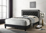 Presley Black Velvet Fabric Full Bed