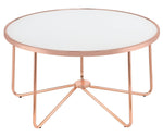 Alivia Rose Gold Metal/Frosted Glass Round Coffee Table