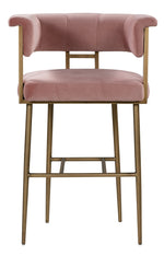 Astrid Blush Velvet/Antique Brass Iron Bar Chair