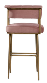 Astrid Blush Velvet/Antique Brass Iron Bar Chair