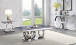 Zasir Gray Faux Marble/Mirrored Silver Metal Coffee Table